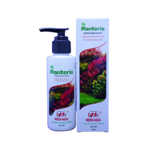 enriched iron box 100 ml