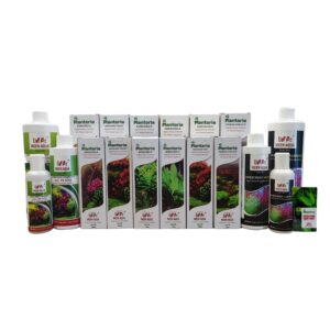 whatsapp image 2025 07 21 at 10.07.27 258b01f3